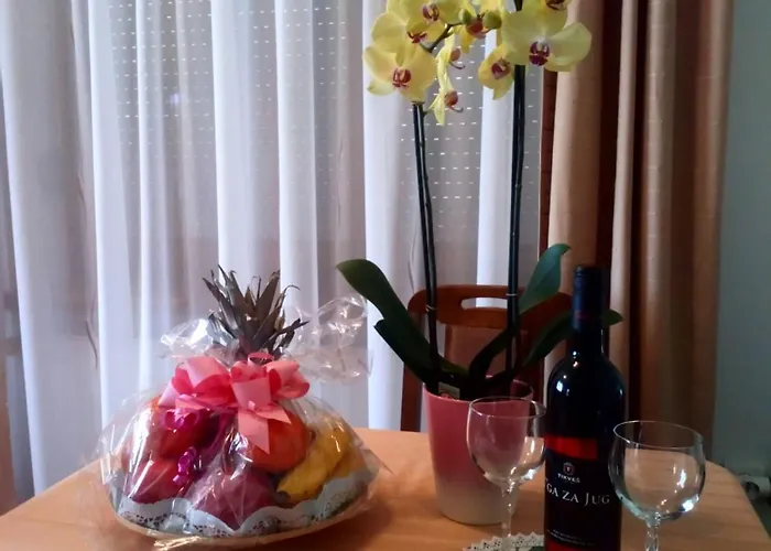 Nik Lux Apartman Vrnjačka Banja